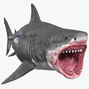 Megalodon Rigged for Cinema 4D