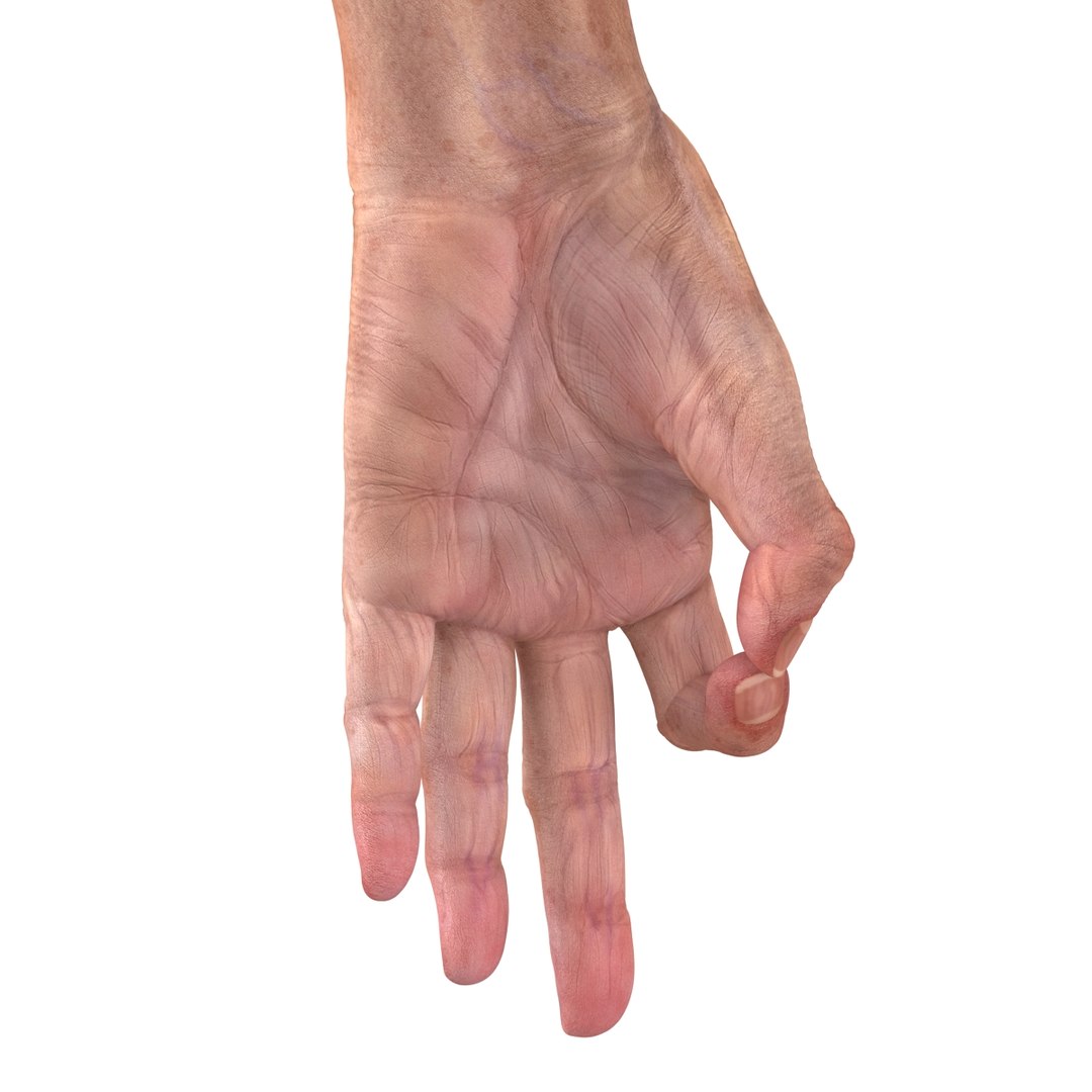 old man hands 2 c4d https://p.turbosquid.com/ts-thumb/wt/XyTKv4/1rmjsH6y/oldmanhandsriggedcinema4d3dmodel46/jpg/1481978227/1920x1080/fit_q87/9d418a4e2da334fb89d10e6bca35e80f02e645f5/oldmanhandsriggedcinema4d3dmodel46.jpg