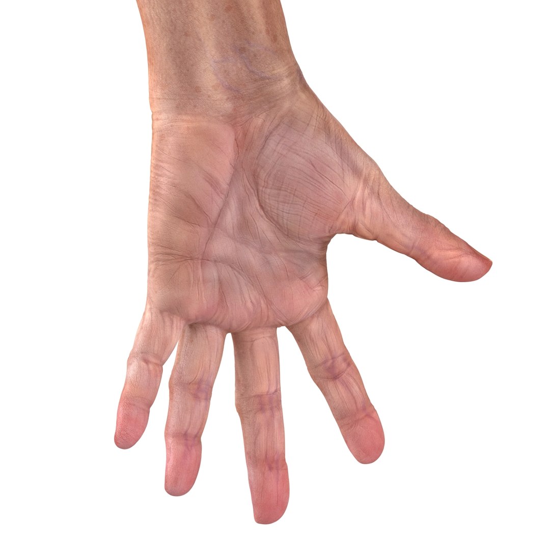 old man hands 2 c4d https://p.turbosquid.com/ts-thumb/wt/XyTKv4/9BpKlz4Q/oldmanhandsriggedcinema4d3dmodel45/jpg/1481978227/1920x1080/fit_q87/25e359a1ba276bf935d7a1ea747c5e11bdced211/oldmanhandsriggedcinema4d3dmodel45.jpg