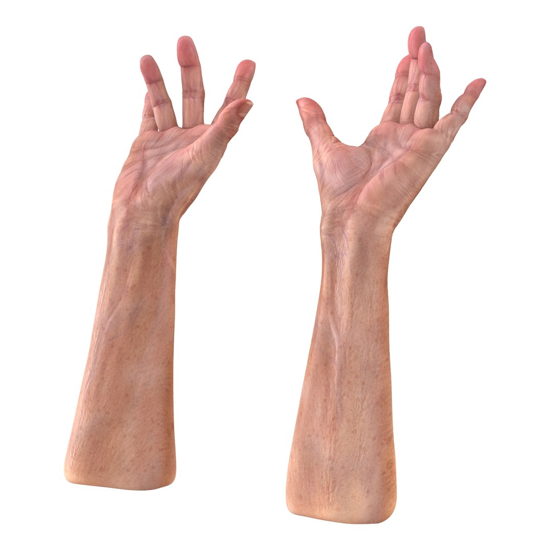 old man hands 2 c4d https://p.turbosquid.com/ts-thumb/wt/XyTKv4/F8Pcetjk/oldmanhandsriggedcinema4d3dmodel13/jpg/1481978227/1920x1080/fit_q87/0cf289319e6efa66f2f4c848f9e10c8ebe3d6a07/oldmanhandsriggedcinema4d3dmodel13.jpg