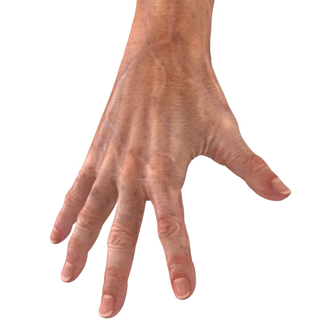 old man hands 2 c4d https://p.turbosquid.com/ts-thumb/wt/XyTKv4/GGt7XyLA/oldmanhandsriggedcinema4d3dmodel40/jpg/1481978227/1920x1080/fit_q87/fd111ba8bab1f692288112b6d6f40e168ed153cf/oldmanhandsriggedcinema4d3dmodel40.jpg