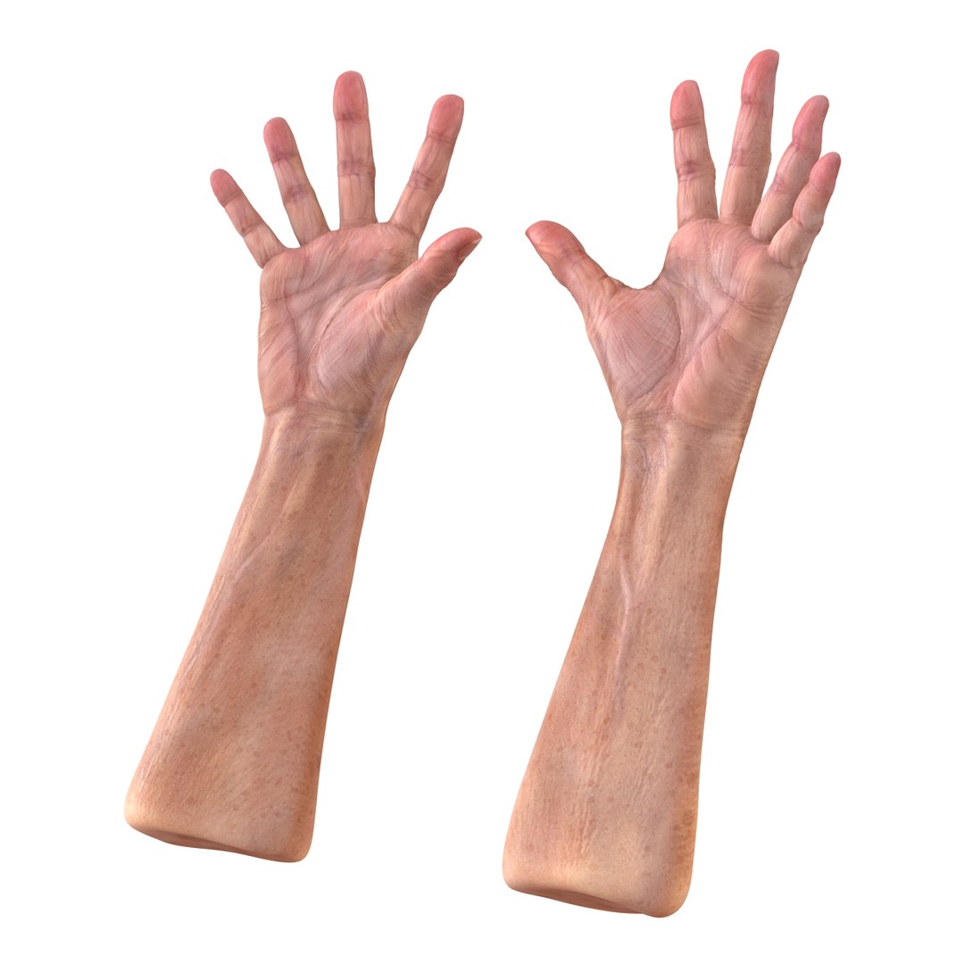 old man hands 2 c4d https://p.turbosquid.com/ts-thumb/wt/XyTKv4/bO1lwywY/oldmanhandsriggedcinema4d3dmodel14/jpg/1481978227/1920x1080/fit_q87/7d1f7074c9589d595896b61014cae0cf935522dc/oldmanhandsriggedcinema4d3dmodel14.jpg