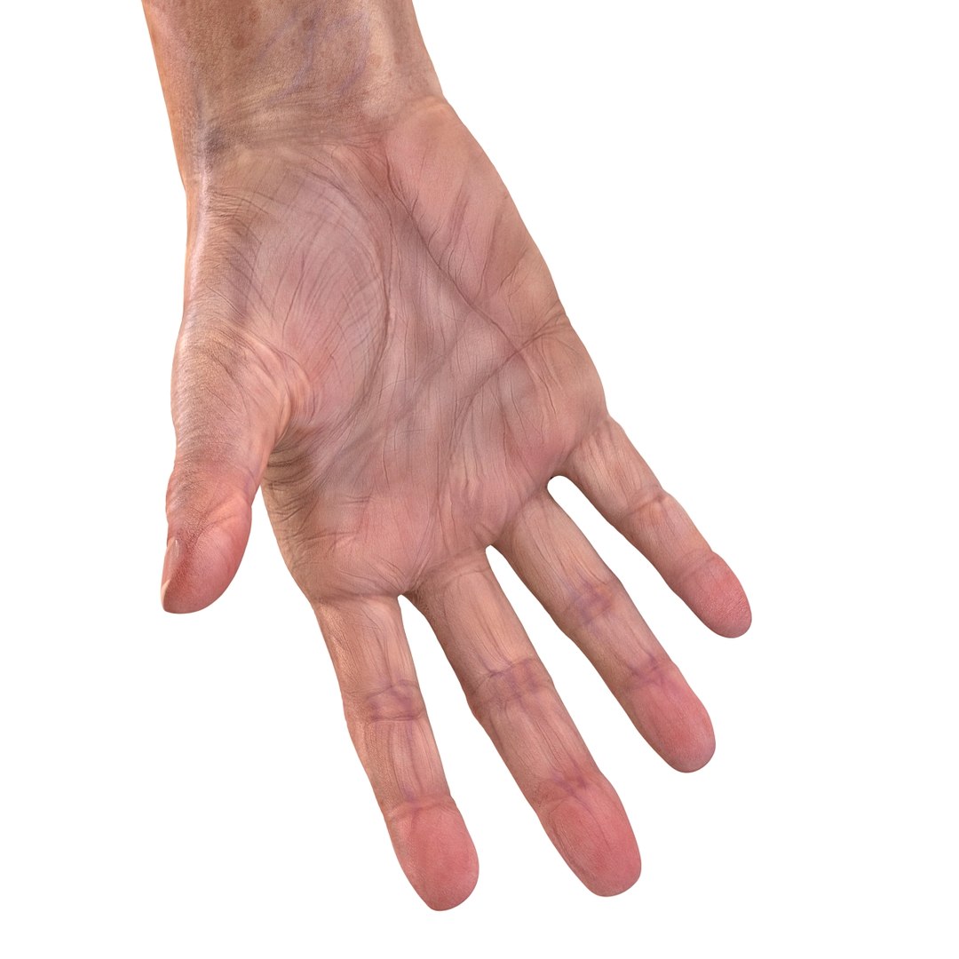 old man hands 2 c4d https://p.turbosquid.com/ts-thumb/wt/XyTKv4/bPnRnLh7/oldmanhandsriggedcinema4d3dmodel47/jpg/1481978227/1920x1080/fit_q87/d796e39954c1e6a3084a2d627b0c75a97dc5708a/oldmanhandsriggedcinema4d3dmodel47.jpg