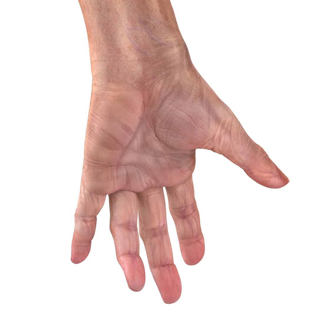 old man hands 2 c4d https://p.turbosquid.com/ts-thumb/wt/XyTKv4/dBgwh4zt/oldmanhandsriggedcinema4d3dmodel44/jpg/1481978227/1920x1080/fit_q87/5cbac3cdcb8afcc2021b3fc5e0053a6266568d35/oldmanhandsriggedcinema4d3dmodel44.jpg