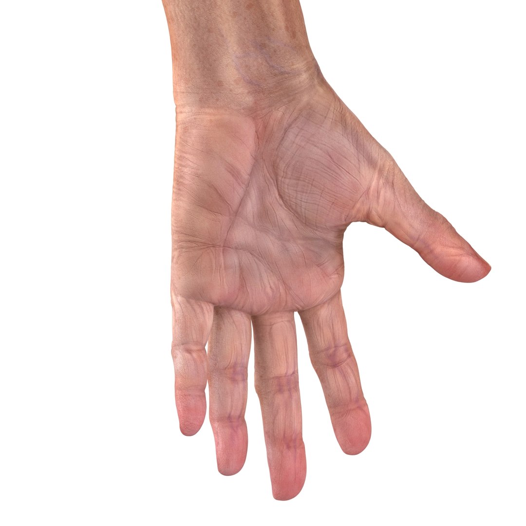 old man hands 2 c4d https://p.turbosquid.com/ts-thumb/wt/XyTKv4/hwUEePj6/oldmanhandsriggedcinema4d3dmodel42/jpg/1481978227/1920x1080/fit_q87/ad5365a91e238992b664e3b4b49c0efc5270d4da/oldmanhandsriggedcinema4d3dmodel42.jpg