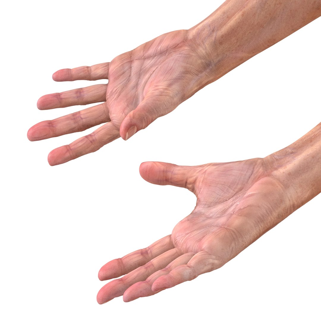 old man hands 2 c4d https://p.turbosquid.com/ts-thumb/wt/XyTKv4/iFUBDpgW/oldmanhandsriggedcinema4d3dmodel32/jpg/1481978227/1920x1080/fit_q87/825be9f93942faa16381db6cb3342b143dcb15ba/oldmanhandsriggedcinema4d3dmodel32.jpg