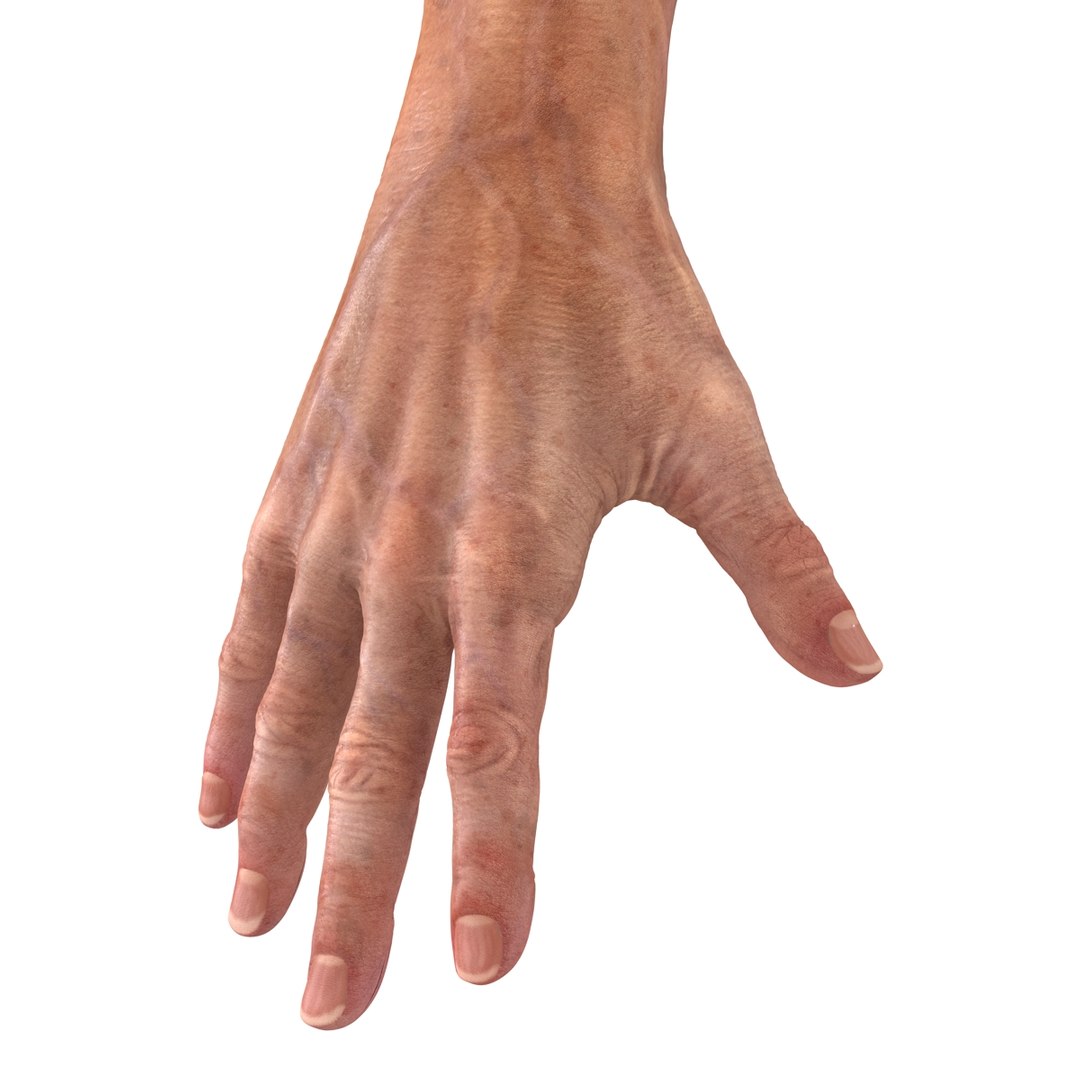 old man hands 2 c4d https://p.turbosquid.com/ts-thumb/wt/XyTKv4/uSdhgvDx/oldmanhandsriggedcinema4d3dmodel37/jpg/1481978227/1920x1080/fit_q87/ba3987c773b4679378bcb7f35d7ae438931f3cb7/oldmanhandsriggedcinema4d3dmodel37.jpg