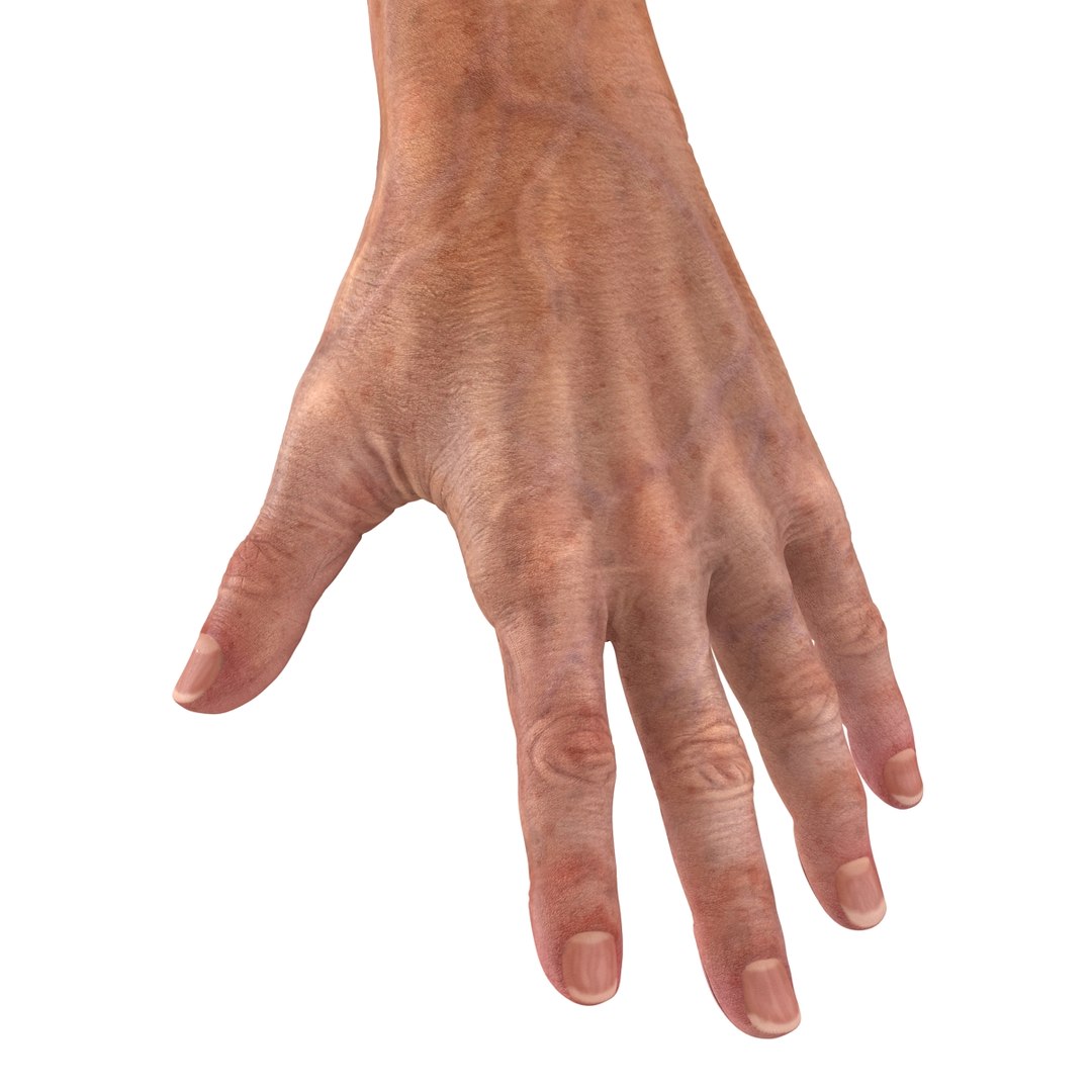 old man hands 2 c4d https://p.turbosquid.com/ts-thumb/wt/XyTKv4/zce9niRh/oldmanhandsriggedcinema4d3dmodel36/jpg/1481978227/1920x1080/fit_q87/de59a7307856505bbbd0a41492b68a7881bf813c/oldmanhandsriggedcinema4d3dmodel36.jpg