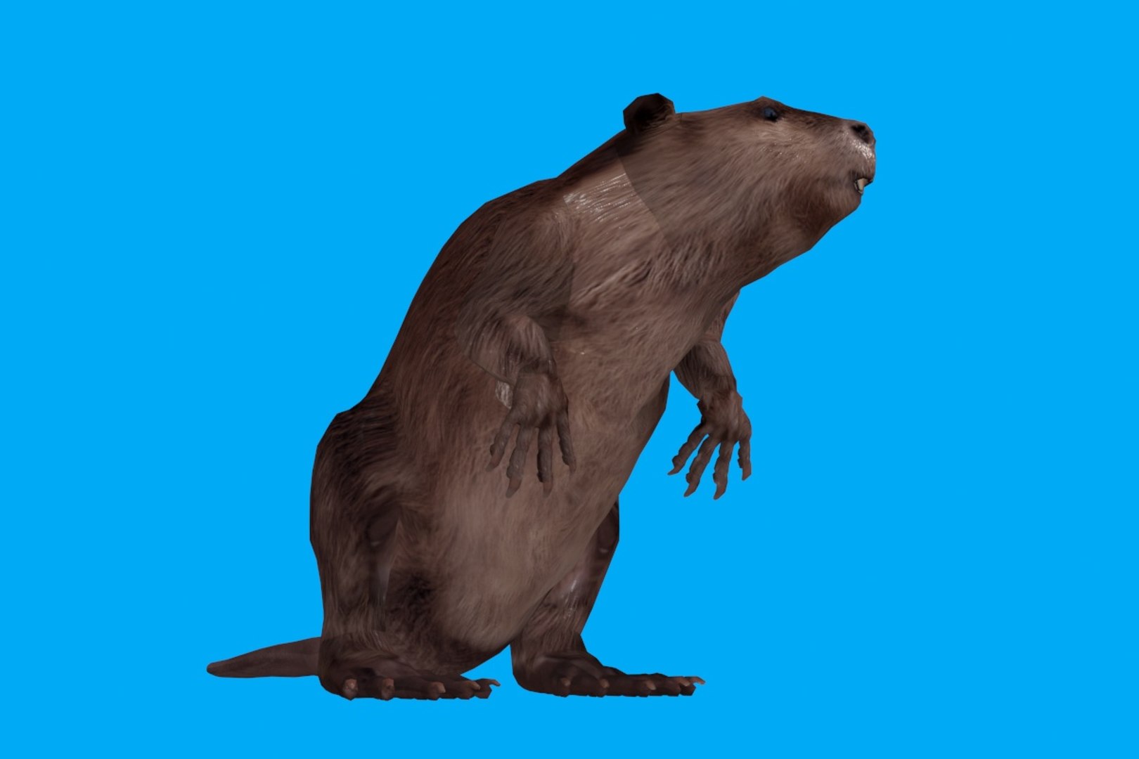 3D animation model https://p.turbosquid.com/ts-thumb/wt/cvcliN/JujUlB7d/02/jpg/1578464990/1920x1080/fit_q87/b50c8bf997787ae163c193bf1c66922a9aa9aca6/02.jpg