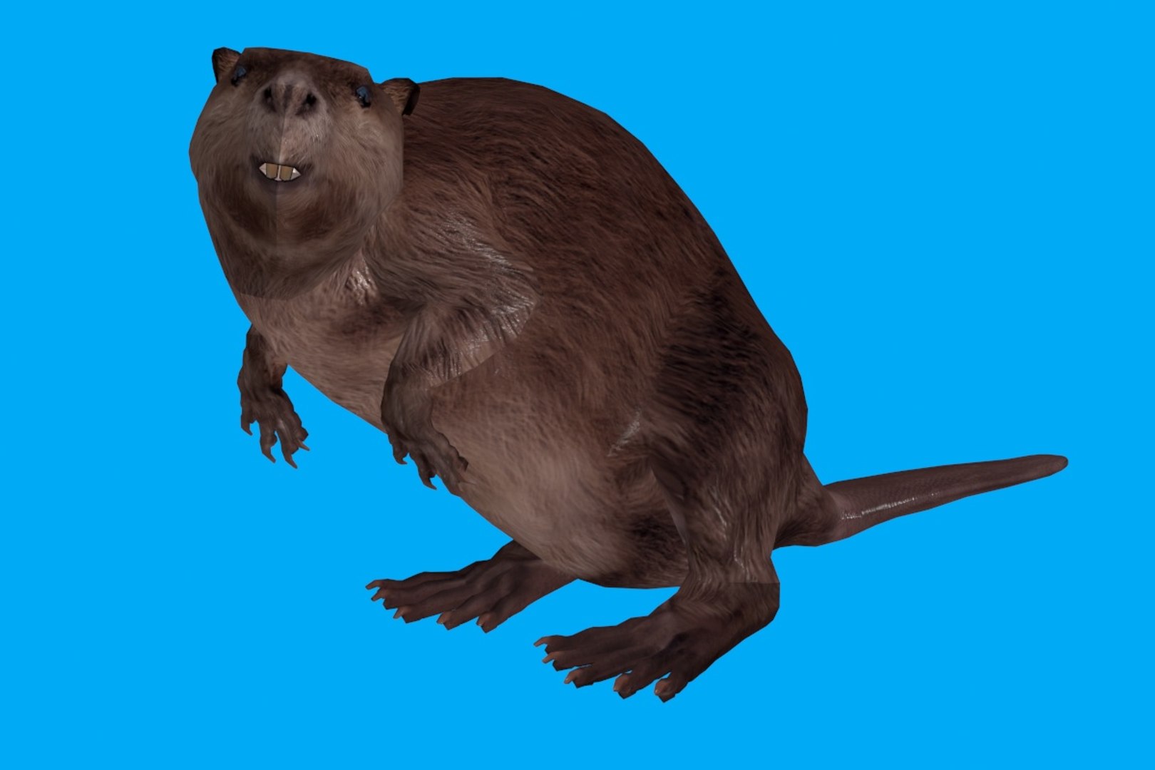 3D animation model https://p.turbosquid.com/ts-thumb/wt/cvcliN/LYYIllAd/3/jpg/1578465176/1920x1080/fit_q87/f6210b7662d736e6c7a81d2e8452d7da37361aec/3.jpg