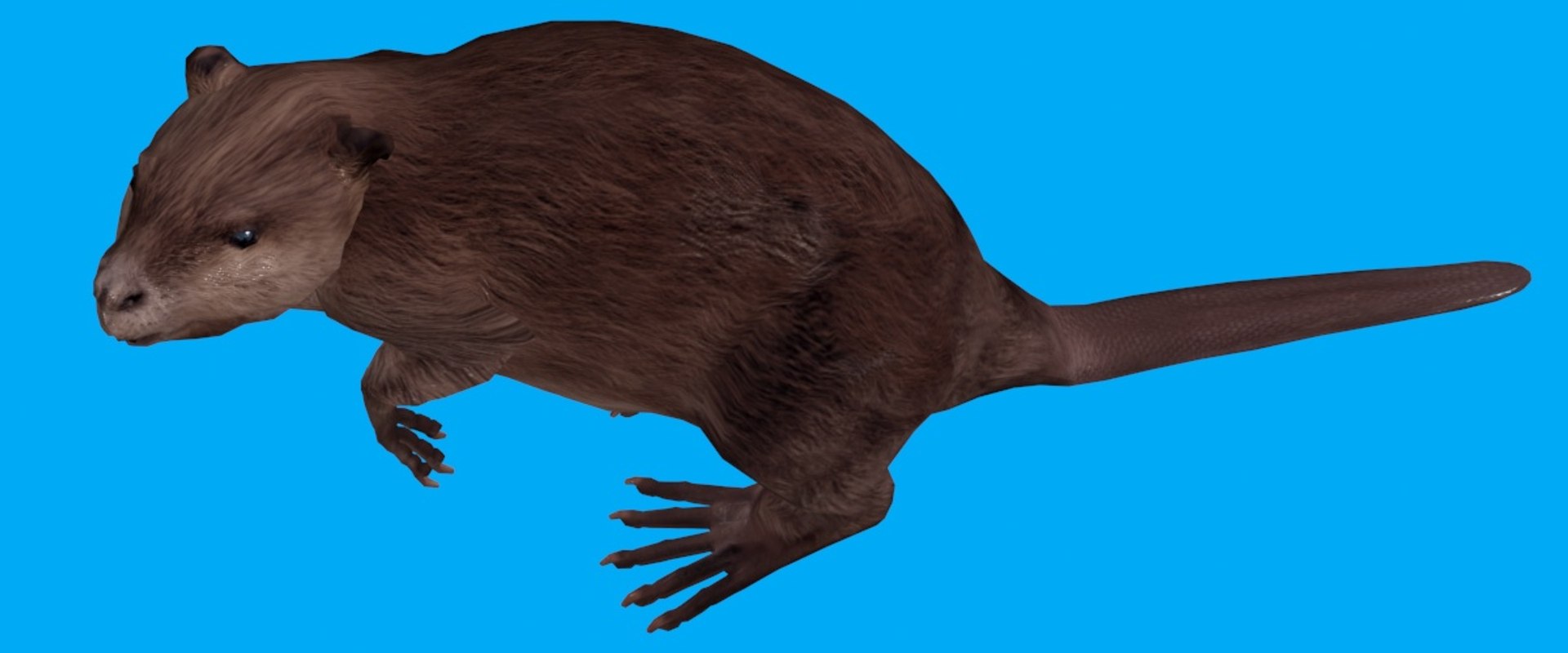 3D animation model https://p.turbosquid.com/ts-thumb/wt/cvcliN/Ubl5ySzw/1/jpg/1578465086/1920x1080/fit_q87/6522f4e68b7b768fbe2a0f45396f720069212a6e/1.jpg