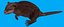beaver