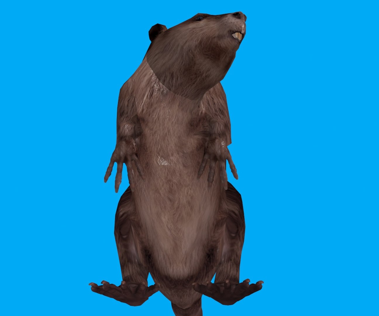 3D animation model https://p.turbosquid.com/ts-thumb/wt/cvcliN/Z5ZBSGQm/03/jpg/1578465002/1920x1080/fit_q87/15caf67dbe87e3e12d6d01cc2136c65cd122271e/03.jpg