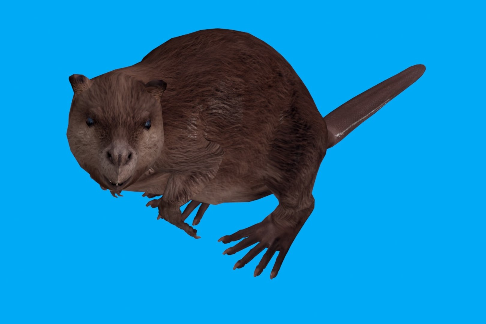 3D animation model https://p.turbosquid.com/ts-thumb/wt/cvcliN/yqLSXcys/2/jpg/1578465103/1920x1080/fit_q87/ea327feabc4c767f3f97a767897947df83d0348c/2.jpg