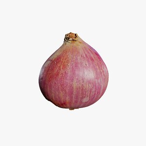 Anydrafts Allium cepa 02 3D