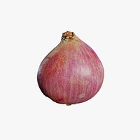 Anydrafts Allium cepa 02