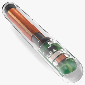 3D Microchip Animal RFID Tag model