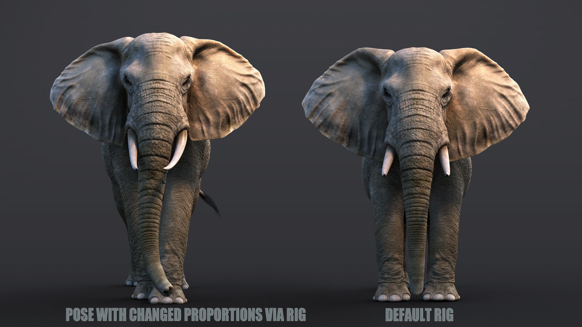 3D African Elephant XGEN-CORE RIGGED - TurboSquid 2255510