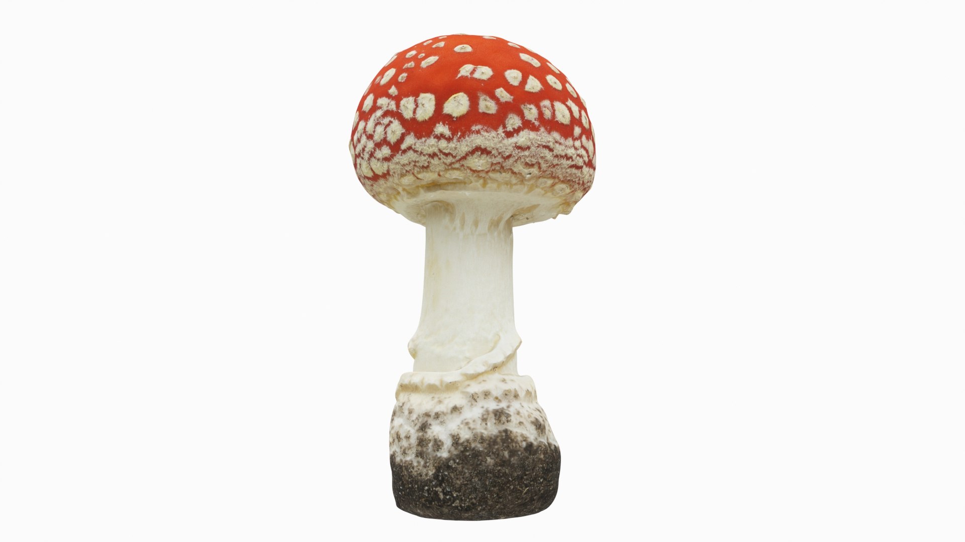 3D Model Toadstool Set 2 - TurboSquid 1805685