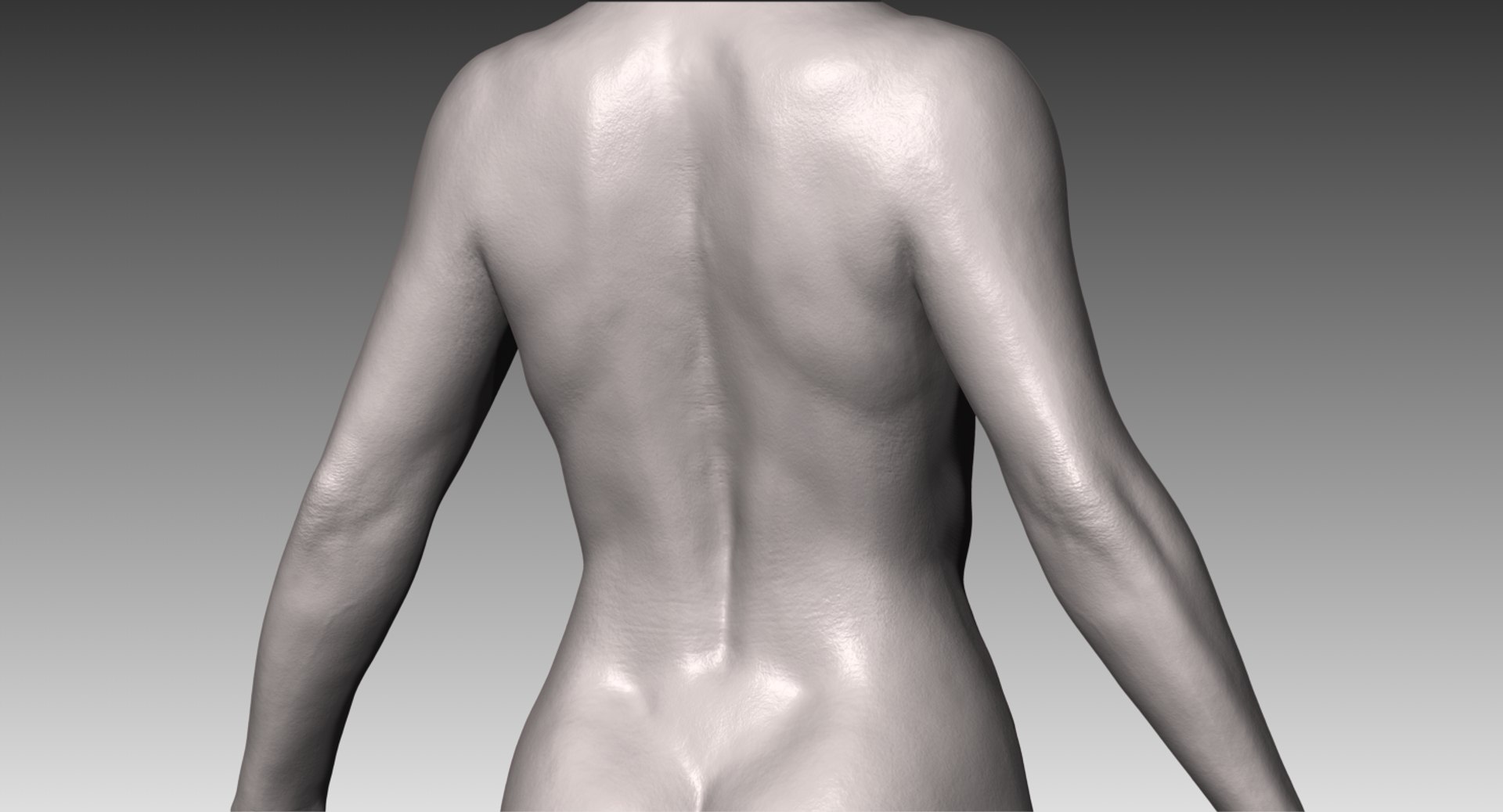 3D render of a muscular female figure with close up of back