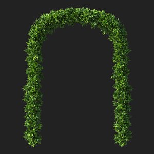 Cupressocyparis Leylandii Arc model