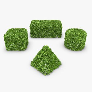 Hedge 05 (4 Shapes)