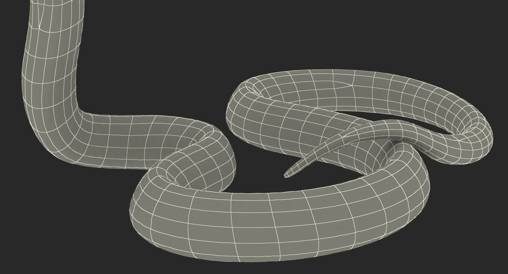 Cobra 3d modeling. How to make a low poly snake using Extrude + Curve  (Autodesk Maya tutorial) 