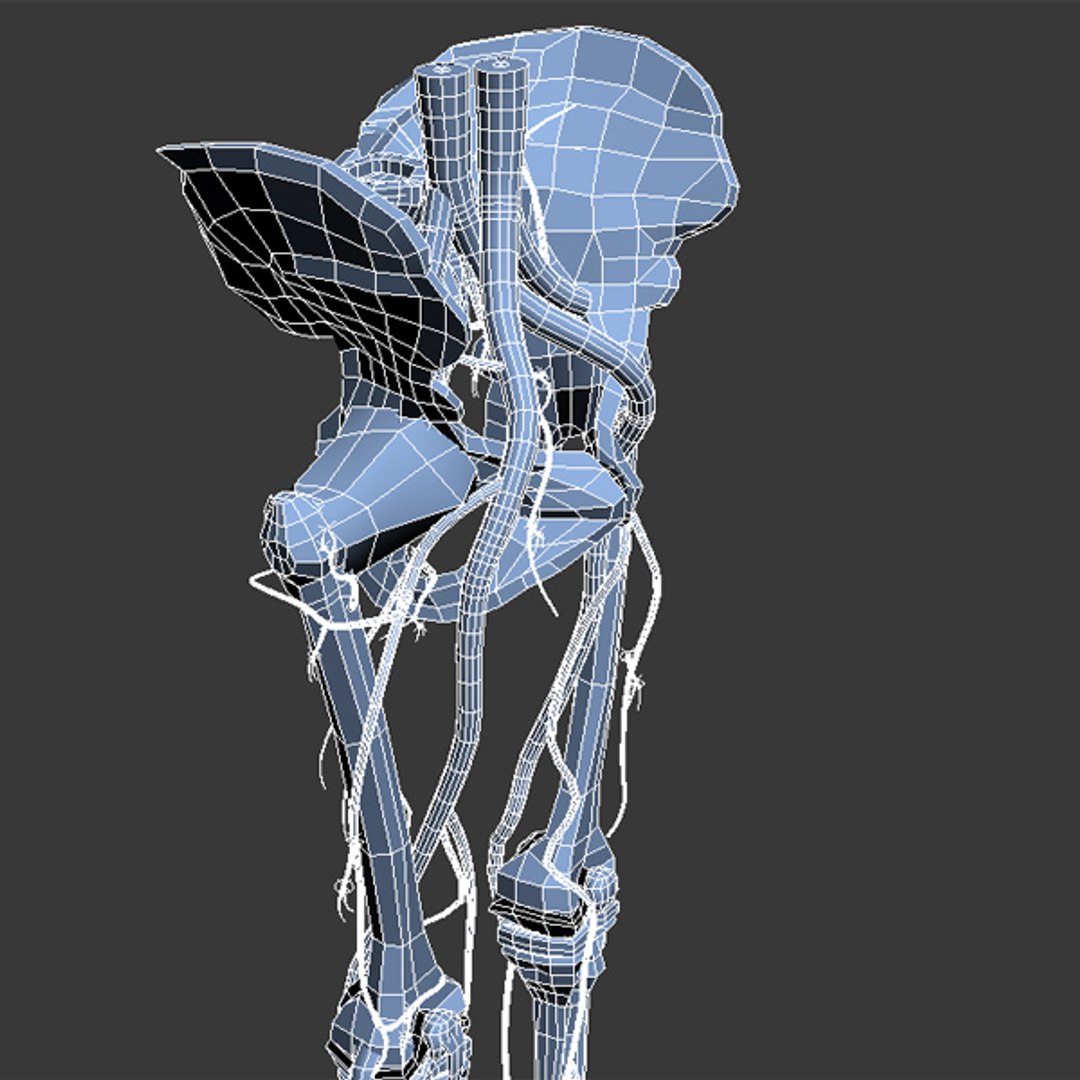 3d human pelvis legs https://p.turbosquid.com/ts-thumb/wu/NRkD0c/xfU4faAB/pl_9/jpg/1320326589/1920x1080/fit_q87/a5a7cffd0ce4dbd95f6c3b88d35cc1a4f187125b/pl_9.jpg