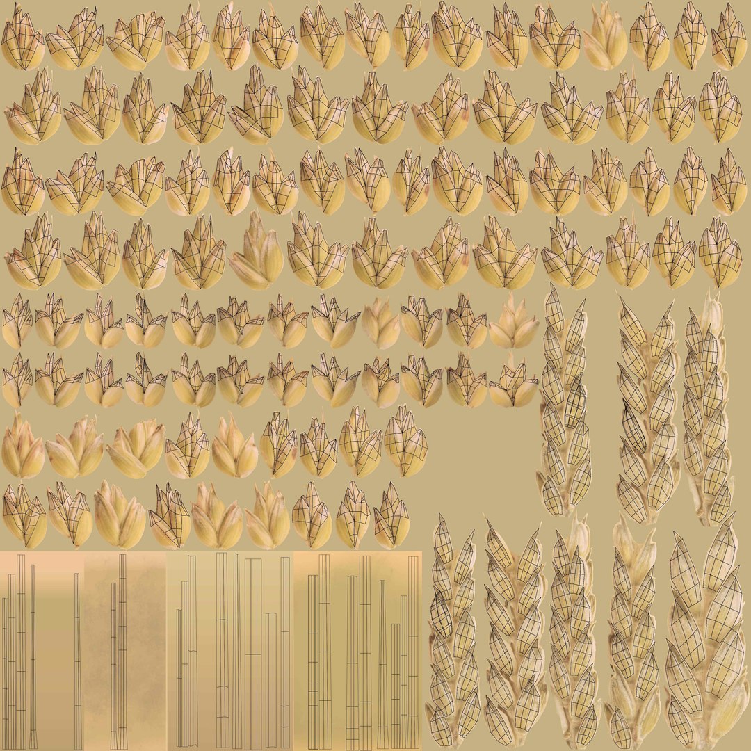 barley grain food 3D https://p.turbosquid.com/ts-thumb/wu/YGugQG/9f6Cx44D/3dplantcollectionvol02barley_11/jpg/1602984827/1920x1080/fit_q87/4a3a28b07d6e29a98434ec0d1018eafe4270767c/3dplantcollectionvol02barley_11.jpg