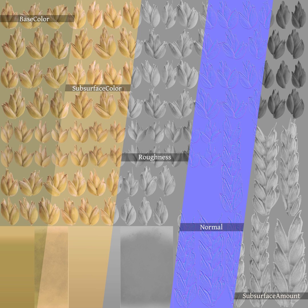 barley grain food 3D https://p.turbosquid.com/ts-thumb/wu/YGugQG/ANIu1dc8/3dplantcollectionvol02barley_09/jpg/1602984824/1920x1080/fit_q87/258d88f2960cad8565febd15050b6d90372d90ea/3dplantcollectionvol02barley_09.jpg