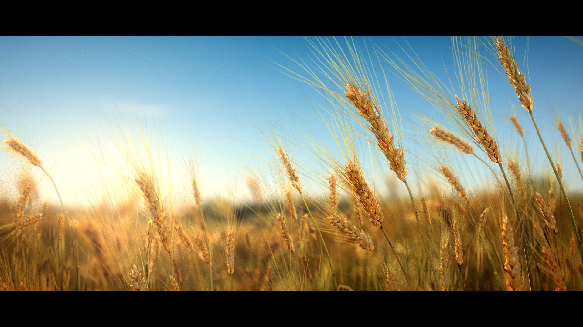 barley grain food 3D https://p.turbosquid.com/ts-thumb/wu/YGugQG/KWB87Adm/3dplantcollectionvol02barley_03/jpg/1602984819/1920x1080/fit_q87/254aca0e39d9a8d6ba7498afed77074515c8936c/3dplantcollectionvol02barley_03.jpg