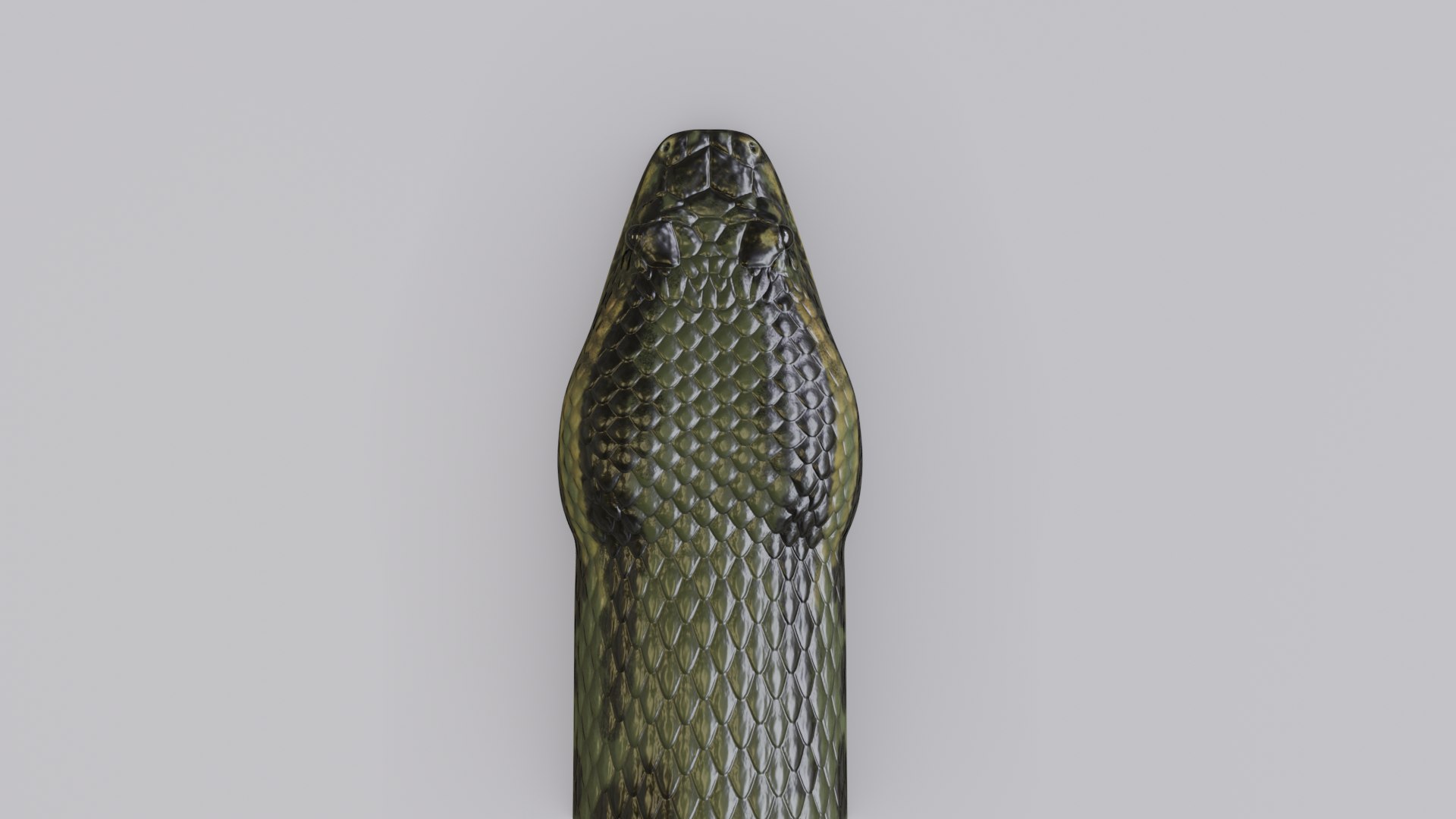 3D model green anaconda https://p.turbosquid.com/ts-thumb/wu/ZM2A2x/79OnUn2d/greenanaconda_preview_04/png/1576550174/1920x1080/fit_q87/1fadfad5aa898b97c8168e9c28539372962c2dd4/greenanaconda_preview_04.jpg