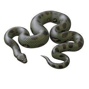 3D model green anaconda