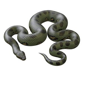 Animated Green Anaconda