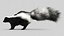 Skunk