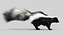 Skunk