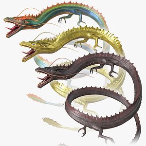 Asian Dragons Rigged Collection