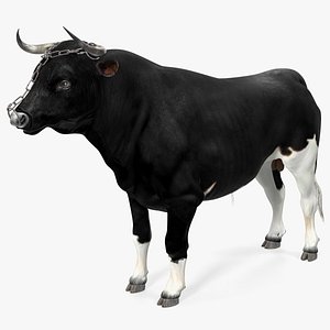 Bull with a Chain 3D model