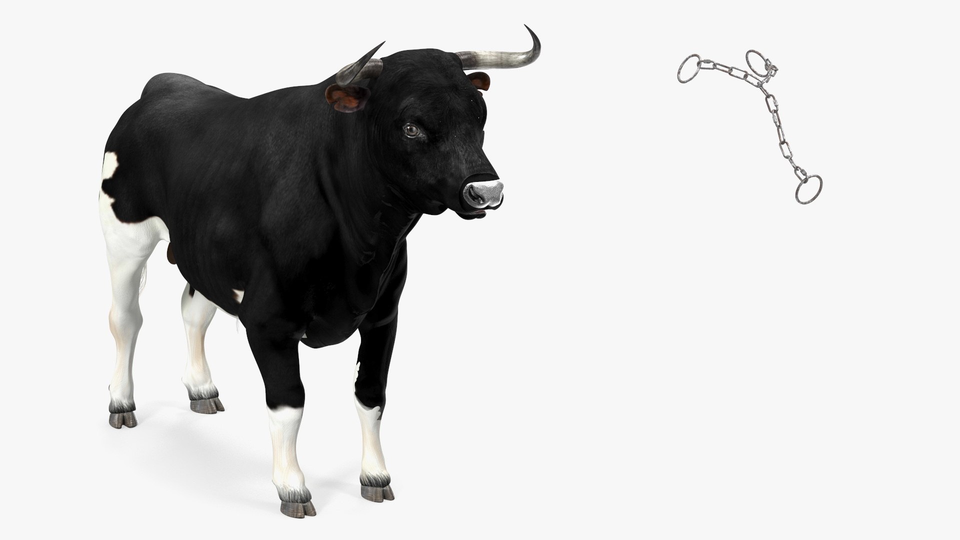 Bull with a Chain 3D model - TurboSquid 2167672