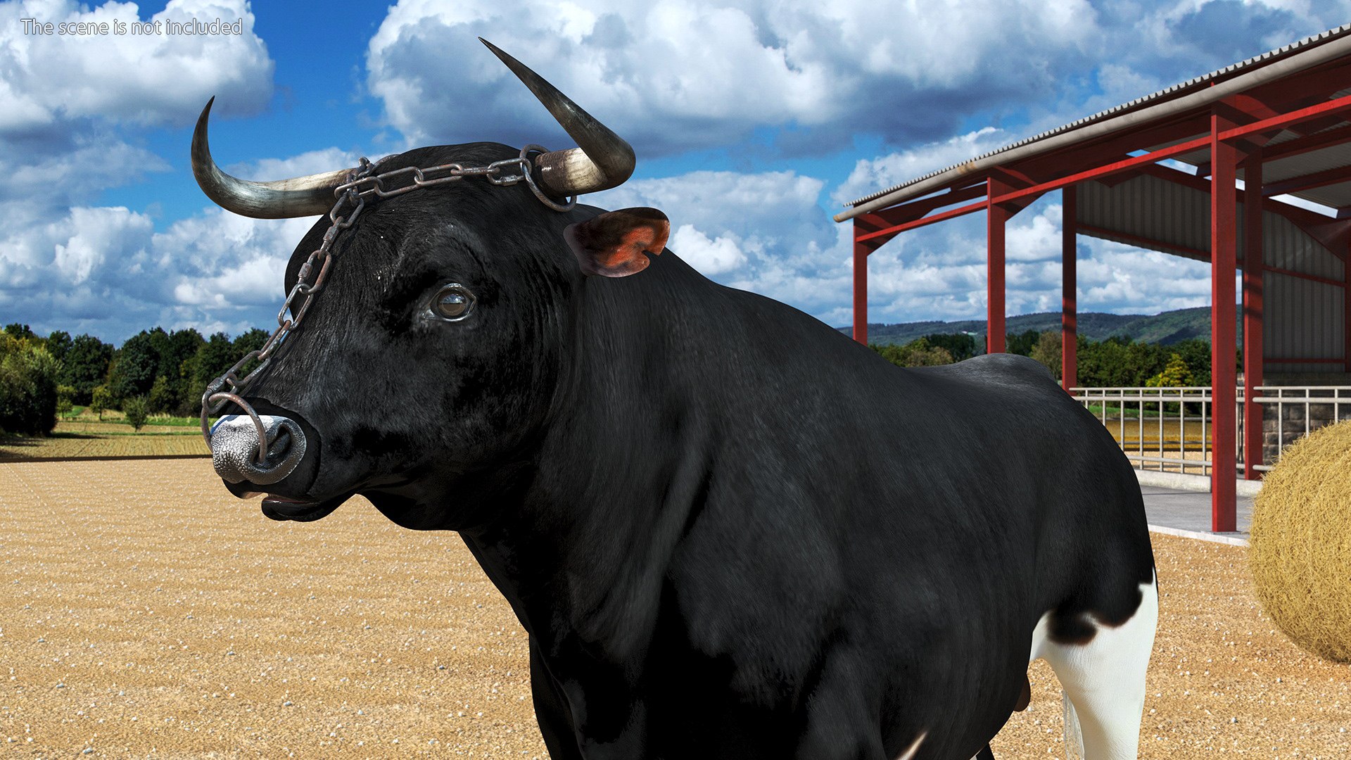 Bull with a Chain 3D model - TurboSquid 2167672