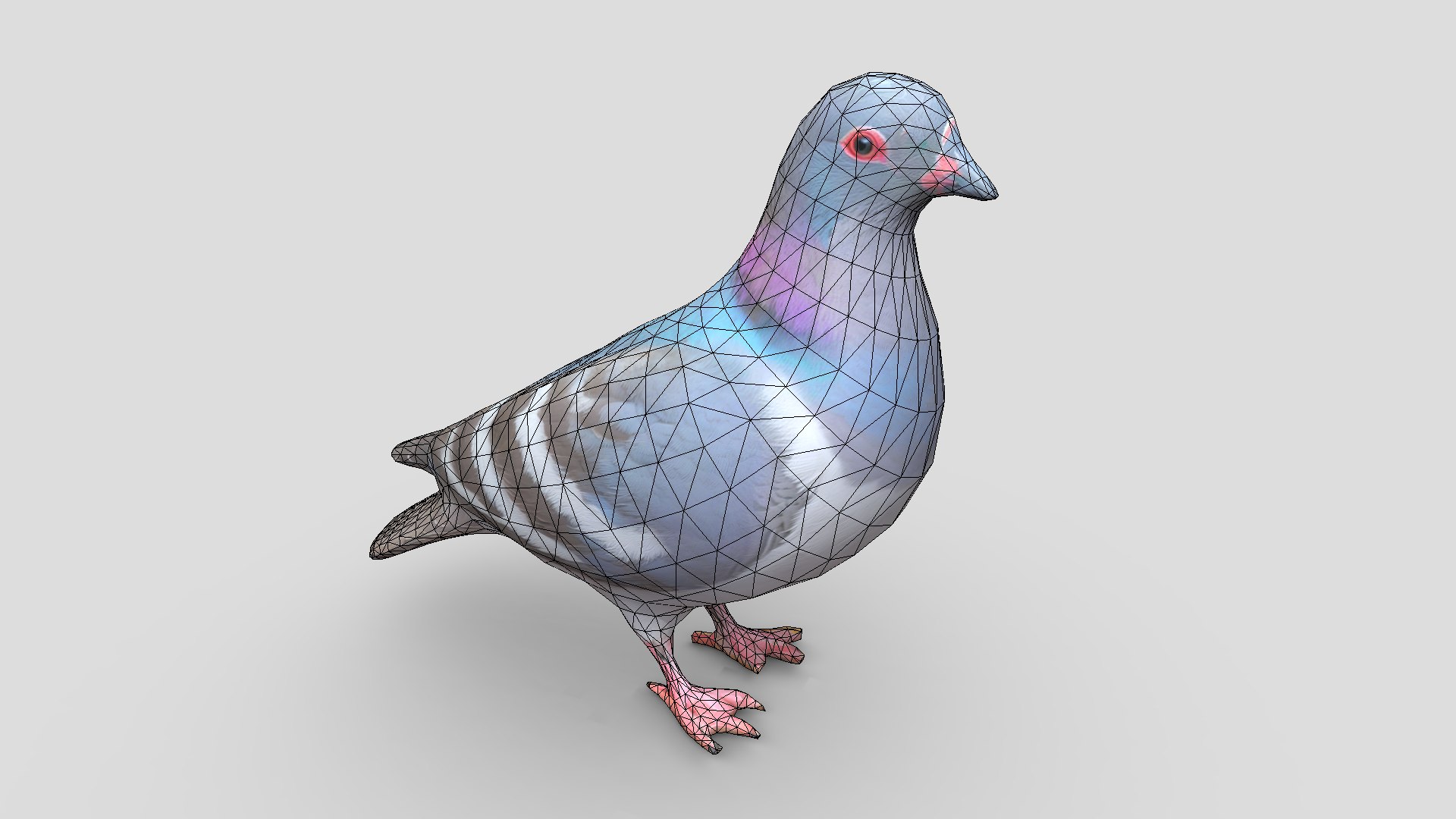 Standing Bird Pigeon 3D Model - TurboSquid 2221978