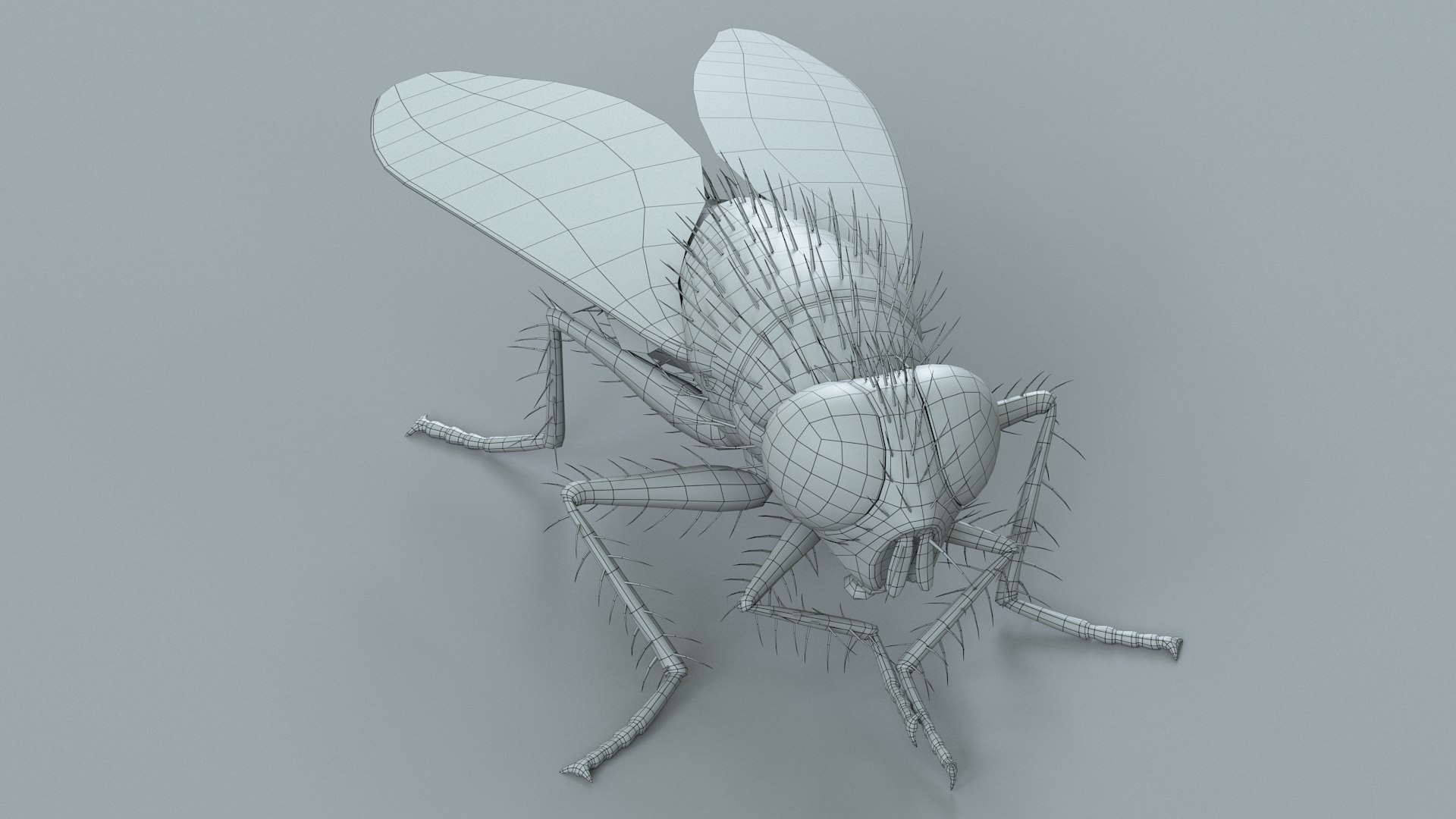 Housefly Rigged Xgen 3D model https://p.turbosquid.com/ts-thumb/wu/tUOPEn/Pt/fly_black_rigged_33/jpg/1714994390/1920x1080/fit_q87/82676f0938305678fb7baa91489b5b98876aef14/fly_black_rigged_33.jpg