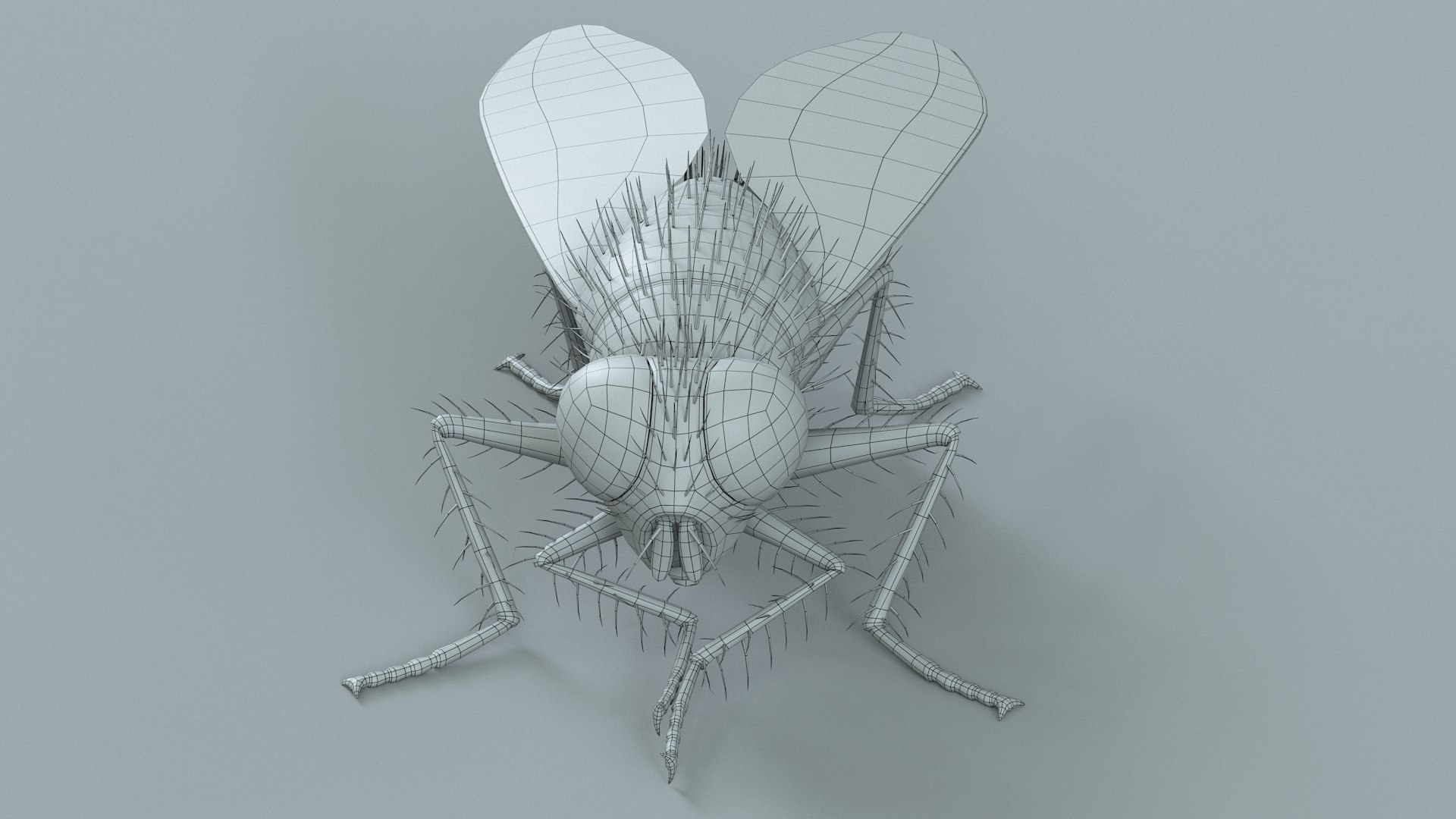 Housefly Rigged Xgen 3D model https://p.turbosquid.com/ts-thumb/wu/tUOPEn/Wz/fly_black_rigged_32/jpg/1714994386/1920x1080/fit_q87/203fcb12709db6bb7a7ca8ea3405656f147bc20e/fly_black_rigged_32.jpg
