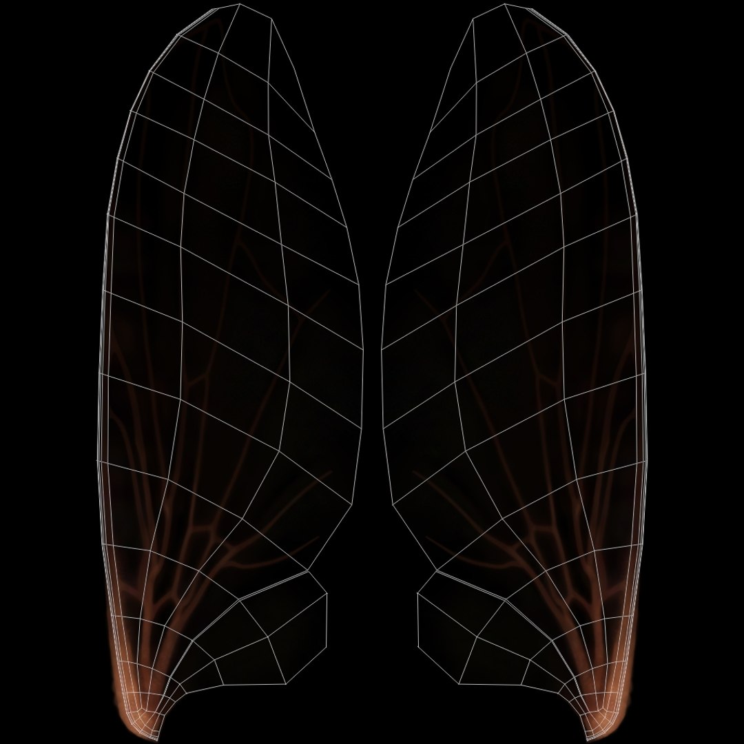 Housefly Rigged Xgen 3D model https://p.turbosquid.com/ts-thumb/wu/tUOPEn/os/xuv_flywings_textures/jpg/1714994580/1920x1080/fit_q87/7a1ecad4e5a9b9304e3856c134630a712d8d4af8/xuv_flywings_textures.jpg