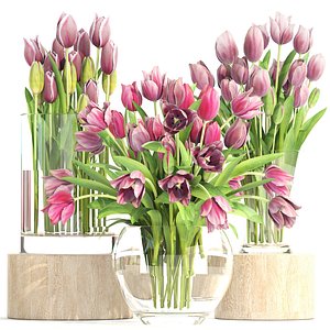 3D bouquet tulips 3 pieces