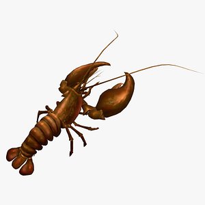 3D model Animated crayfish