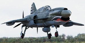 Viper P-40 Fighter Aircraft Concept 3D