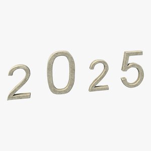 Year 2025
