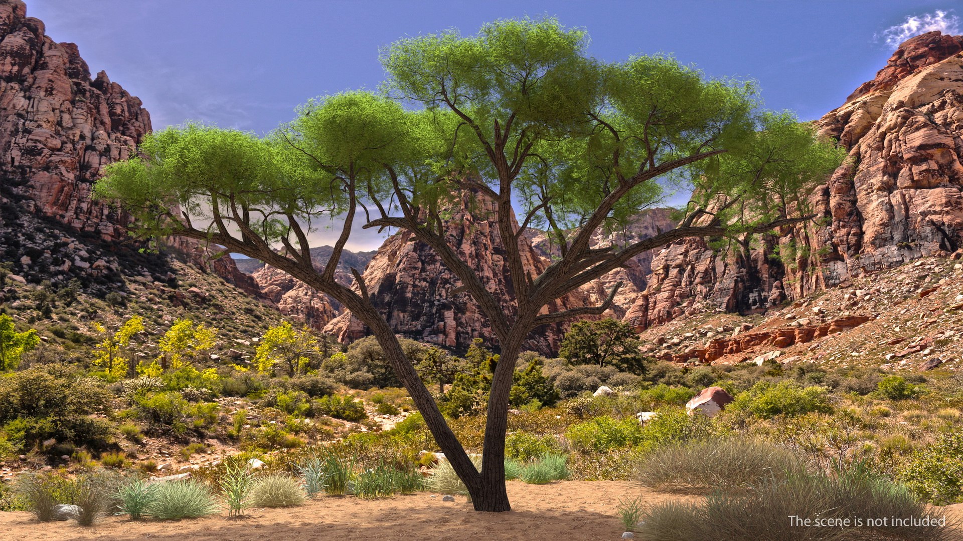Tigers Under Tree Collection 3D model preview