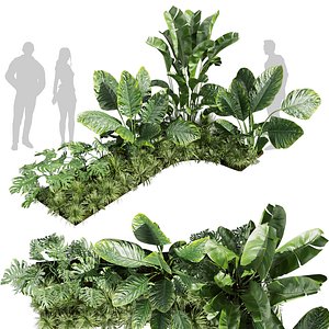 Banana Monstera Grass Garden - Vol 616